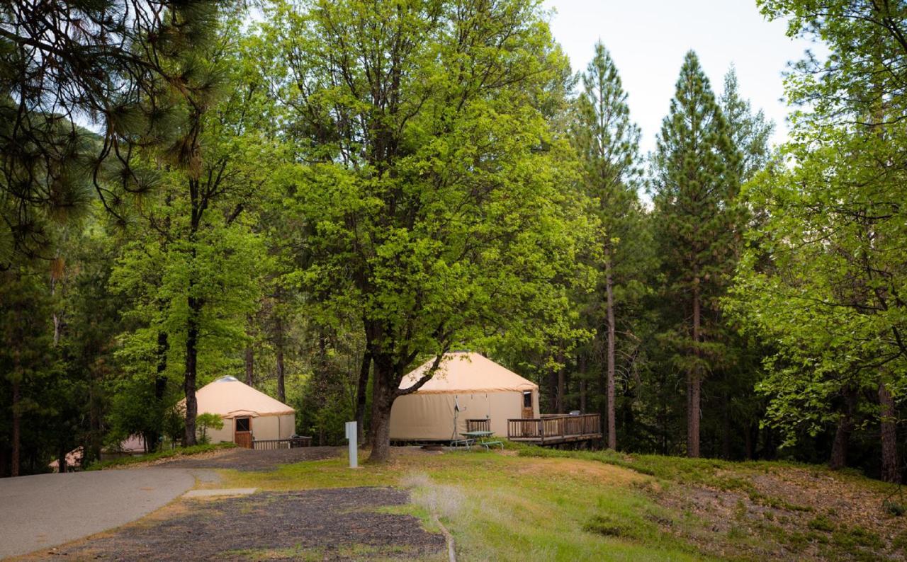 Yosemite Lakes Hillside Yurt 5 Hotel Harden Flat Exterior photo